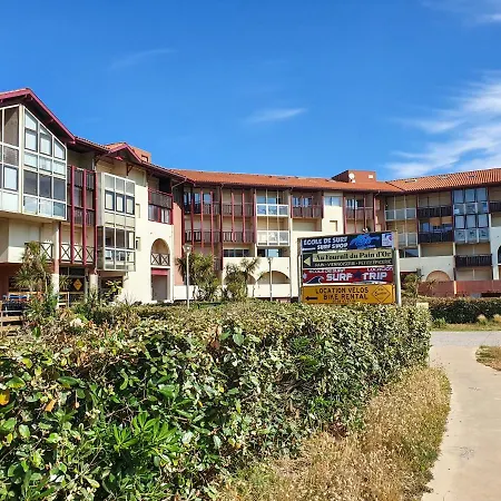 Point D'or - L'ocean A Vos Pieds, T1 Bis Pour 4 Personnes Apartmán