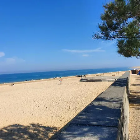 Point D'or - L'ocean A Vos Pieds, T1 Bis Pour 4 Personnes Apartmán Soorts-Hossegor